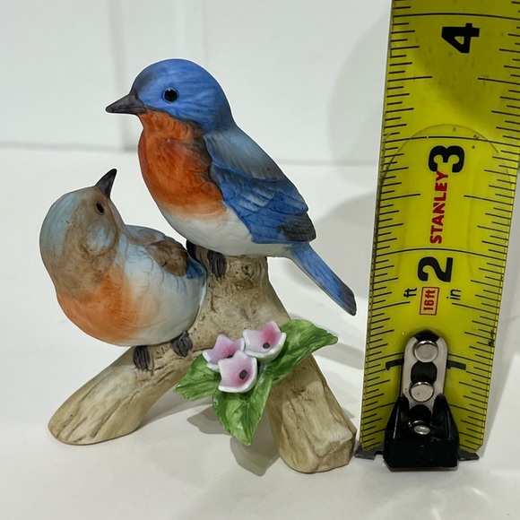 Birds  Andrea by Sadek 7954 - Picture 12 of 12